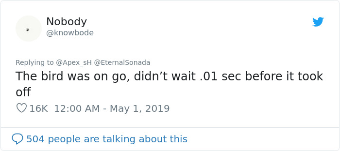 Girl Trains Her Bird To Attack People She Wants, And She Looks Like A Real Life Super Villain Girl Trains Her Bird To Attack People She Wants, And She Looks Like A Real Life Super Villain