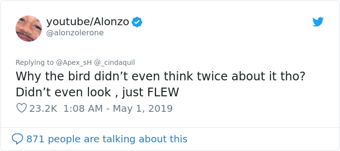 Girl Trains Her Bird To Attack People She Wants, And She Looks Like A Real Life Super Villain Girl Trains Her Bird To Attack People She Wants, And She Looks Like A Real Life Super Villain