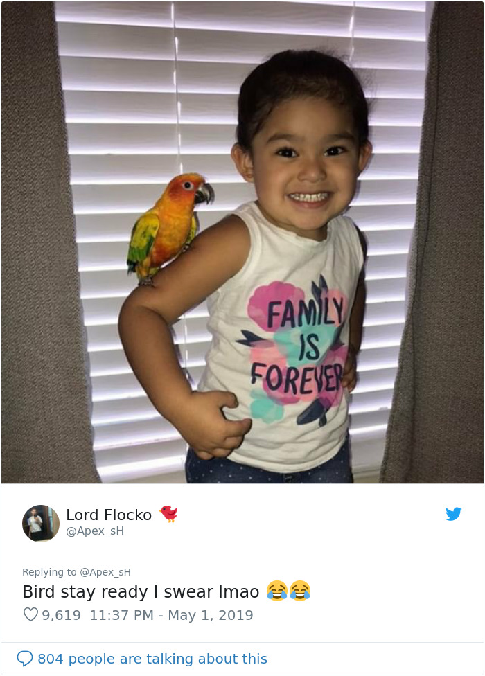 Girl Trains Her Bird To Attack People She Wants, And She Looks Like A Real Life Super Villain Girl Trains Her Bird To Attack People She Wants, And She Looks Like A Real Life Super Villain