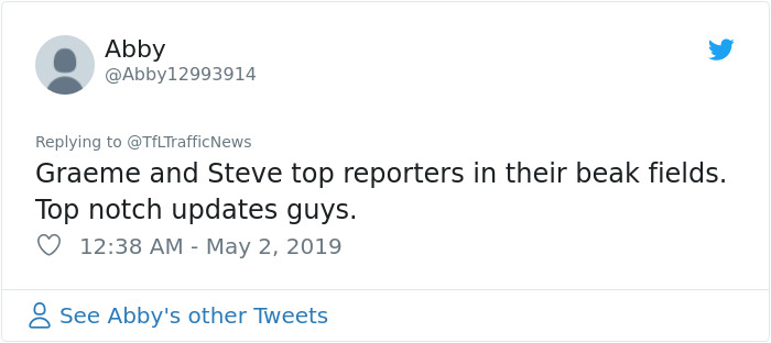 Two Seagulls - Graeme And Steve - Keep Showing Up On London Traffic Cam, Become Twitter-Famous