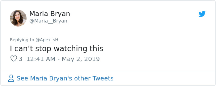 Girl Trains Her Bird To Attack People She Wants, And She Looks Like A Real Life Super Villain