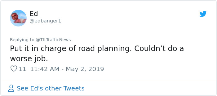 Two Seagulls - Graeme And Steve - Keep Showing Up On London Traffic Cam, Become Twitter-Famous