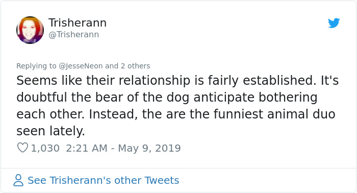 Bear Gifts Deer Bones To Guard Dog In Exchange Of Being Allowed Access To This Man's Trash Bear Gifts Deer Bones To Guard Dog In Exchange Of Being Allowed Access To This Man's Trash