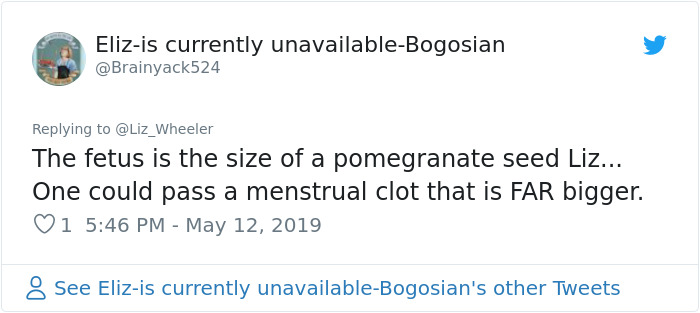 Woman Posts Pic Of 6-Week-Old Embryo To Shame Pro-Choicers, One Of Them Responds With Scientific Facts On What Makes Us Human