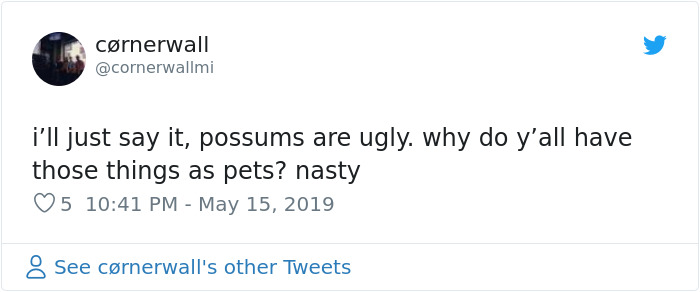 22 Adorable Photos From The Twitter Page #PossumEveryHour That May Make You See These Creatures Differently 22 Adorable Photos From The Twitter Page #PossumEveryHour That May Make You See These Creatures Differently