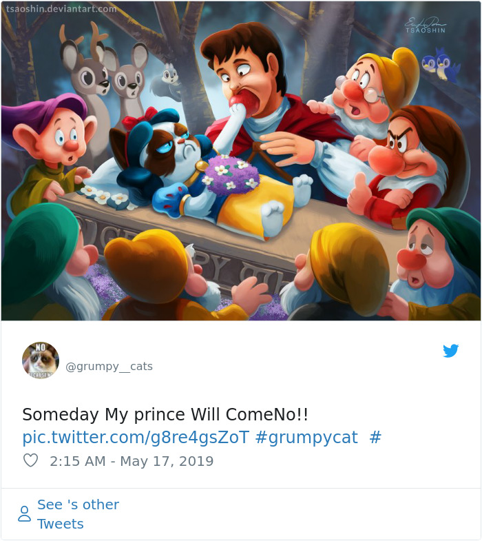 Grumpy Cat Dies Aged 7