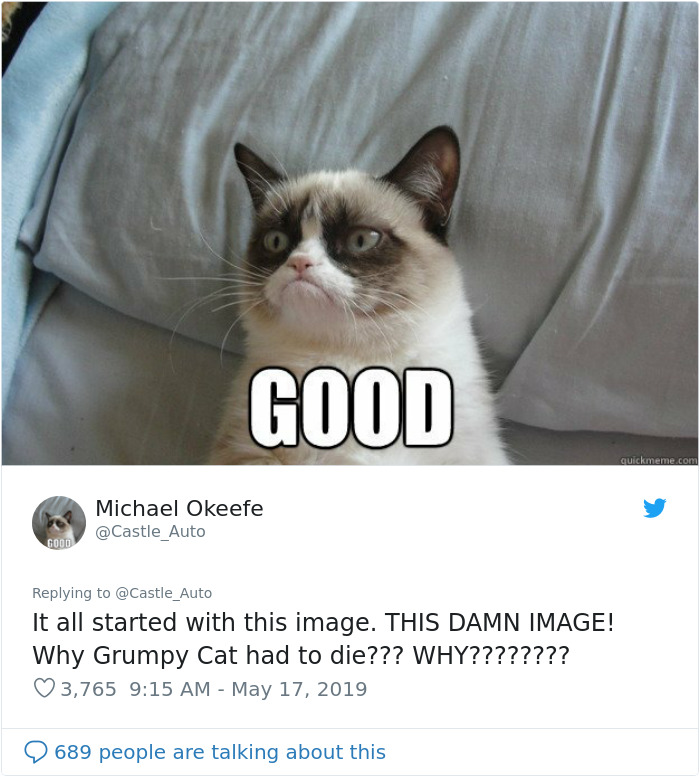 Grumpy Cat Dies Aged 7