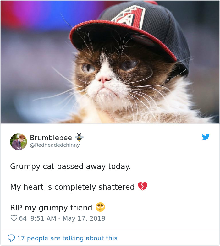 Grumpy Cat Dies Aged 7
