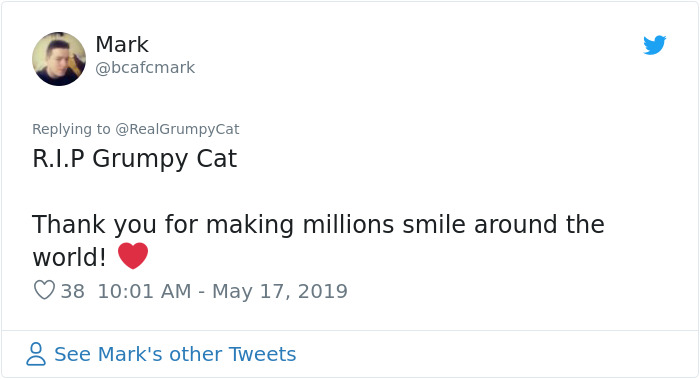 Grumpy Cat Dies Aged 7