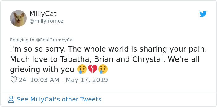 Grumpy Cat Dies Aged 7 Grumpy Cat Dies Aged 7