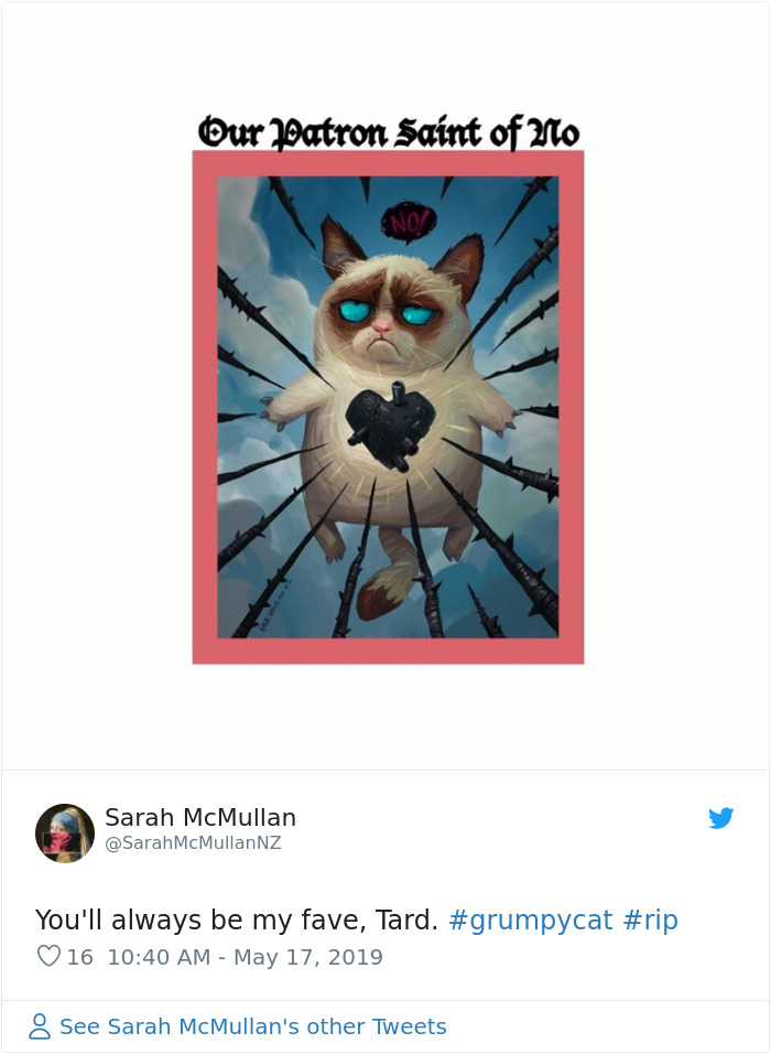 Grumpy Cat Dies Aged 7