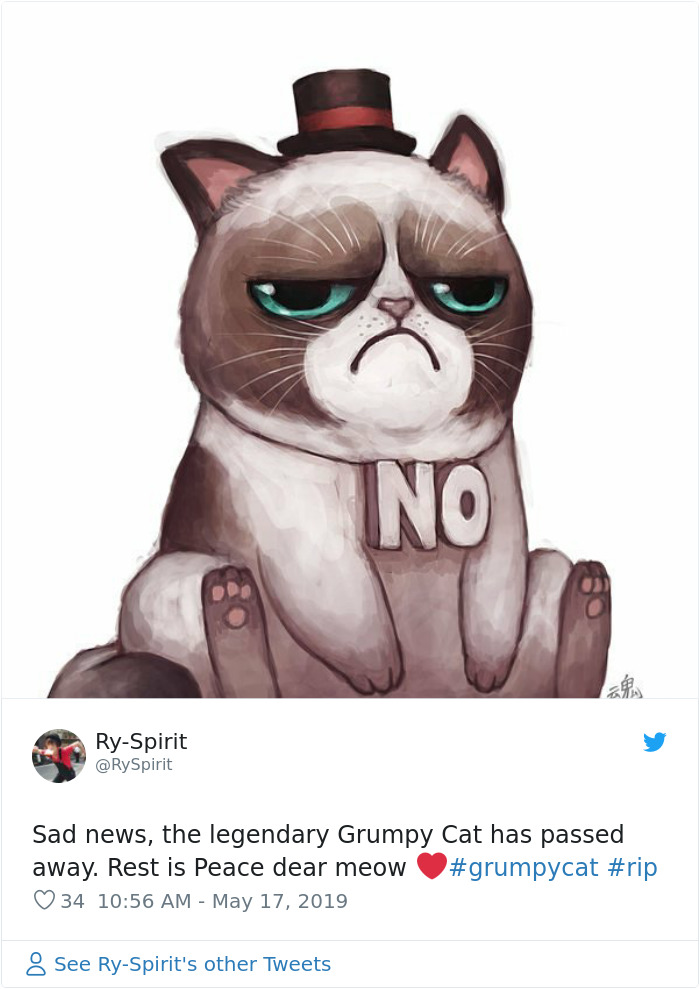 Grumpy Cat Dies Aged 7