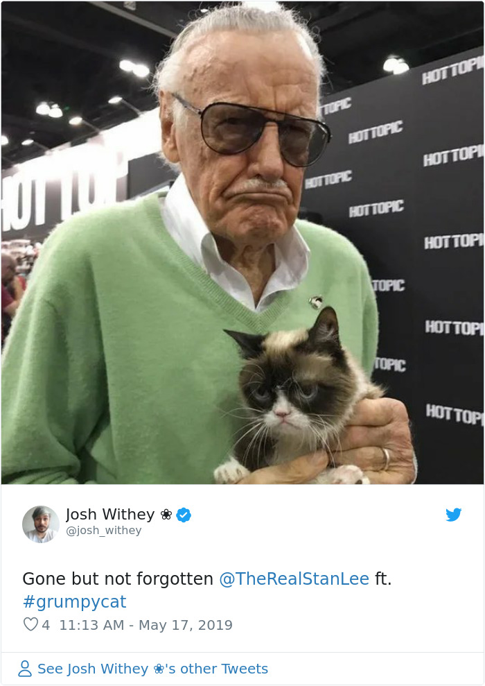 Grumpy Cat Dies Aged 7