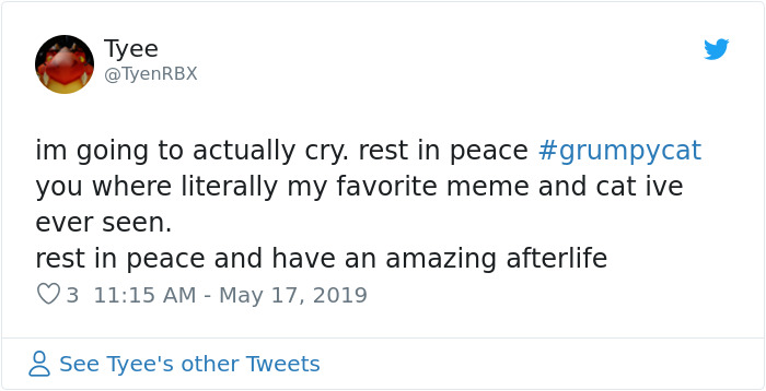 Grumpy Cat Dies Aged 7 Grumpy Cat Dies Aged 7