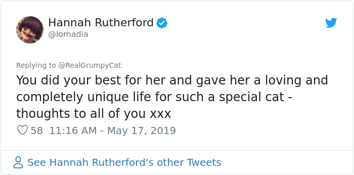 Grumpy Cat Dies Aged 7