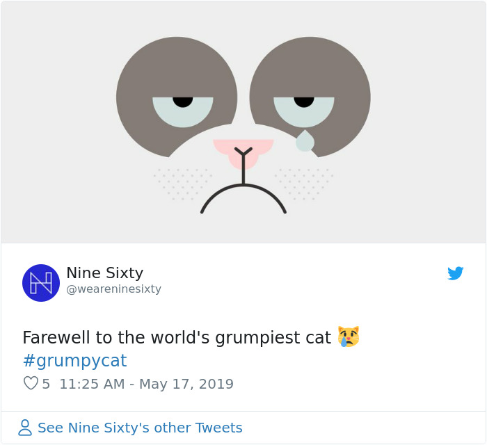 Grumpy Cat Dies Aged 7