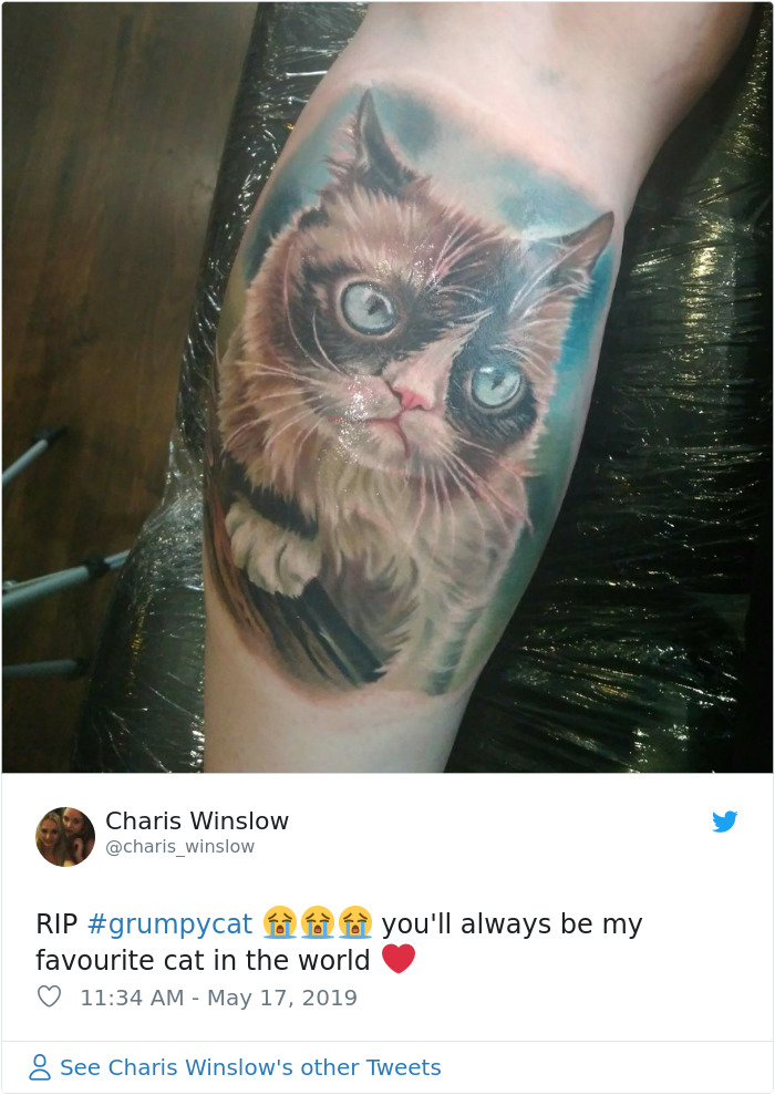 Grumpy Cat Dies Aged 7