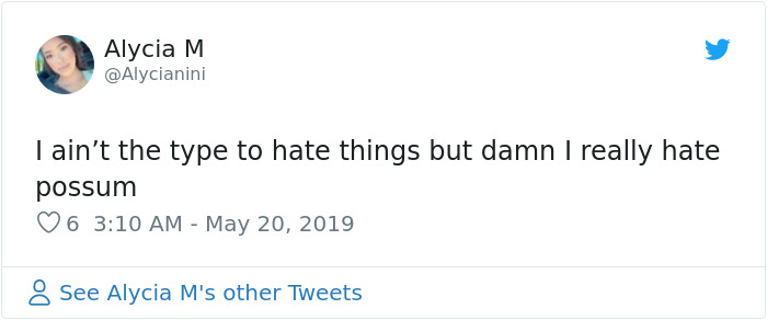 22 Adorable Photos From The Twitter Page #PossumEveryHour That May Make You See These Creatures Differently 22 Adorable Photos From The Twitter Page #PossumEveryHour That May Make You See These Creatures Differently