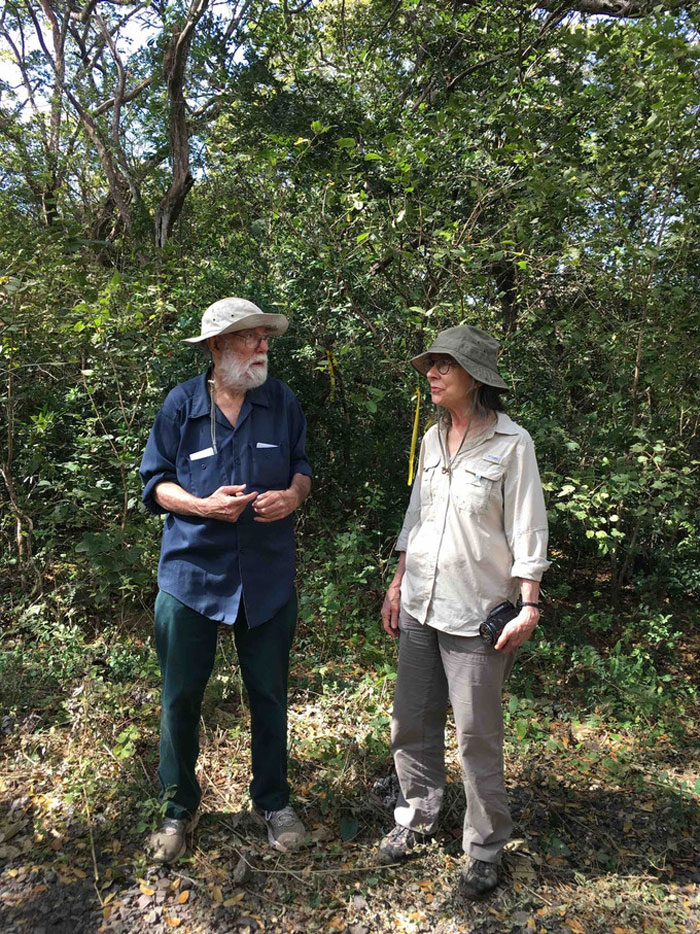 Juice Company Dumped 12,000 Tonnes Of Orange Peels On Virtually Lifeless Soil, 16 Years Later, It Turned Into A Lush Forest Juice Company Dumped 12,000 Tonnes Of Orange Peels On Virtually Lifeless Soil, 16 Years Later, It Turned Into A Lush Forest