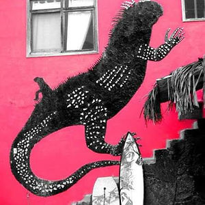 iguanawoman69 avatar