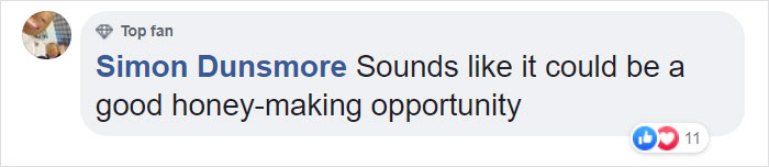 McDonalds Opens A Tiny Restaurant For Bees McDonalds Opens A Tiny Restaurant For Bees