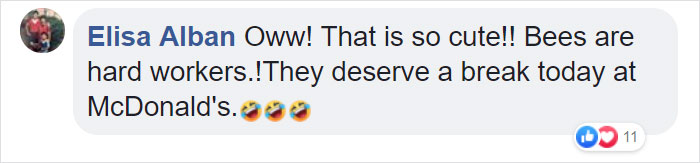 McDonalds Opens A Tiny Restaurant For Bees