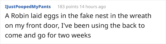People Kept Destroying These Swifts' Nests So Someone Put Up A Sign Explaining Why We Need To Protect Them People Kept Destroying These Swifts' Nests So Someone Put Up A Sign Explaining Why We Need To Protect Them