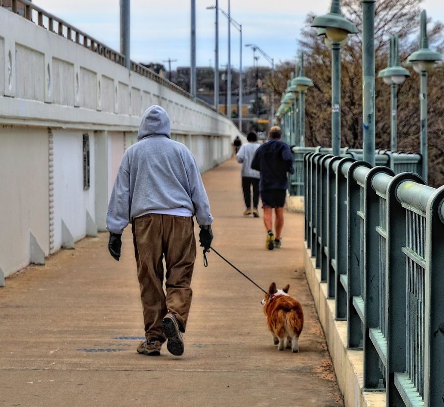In Turin, A Dog Owner Is Fined If He Walks The Dog Less Than Three Times A Day