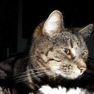 katie_suffolk avatar