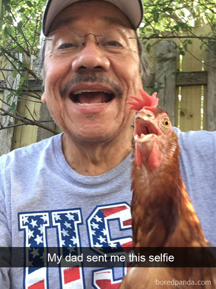 Funny-Bird-Snapchats