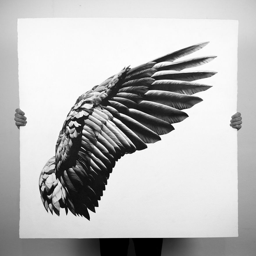 Italian Artist Makes Ultra Realistic Drawings With Pen And The Result Is Impressive