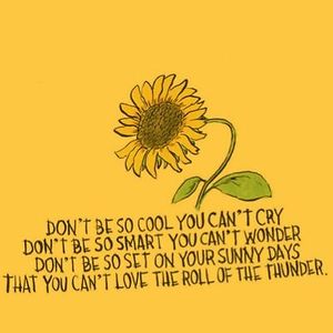 carolineholland_1 avatar