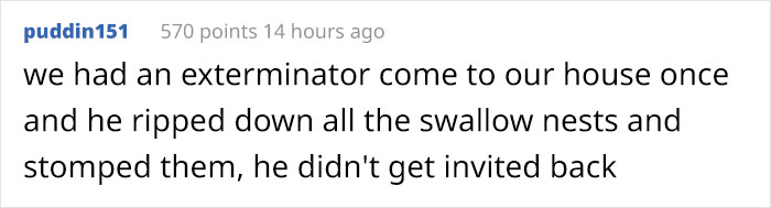 People Kept Destroying These Swifts' Nests So Someone Put Up A Sign Explaining Why We Need To Protect Them People Kept Destroying These Swifts' Nests So Someone Put Up A Sign Explaining Why We Need To Protect Them