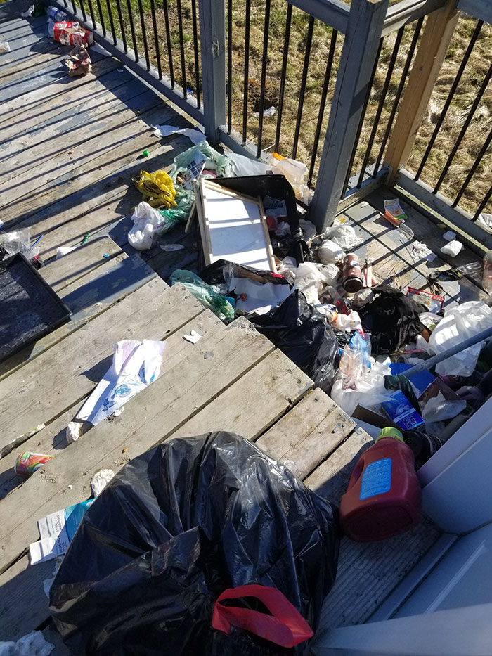 Bear Gifts Deer Bones To Guard Dog In Exchange Of Being Allowed Access To This Man's Trash Bear Gifts Deer Bones To Guard Dog In Exchange Of Being Allowed Access To This Man's Trash