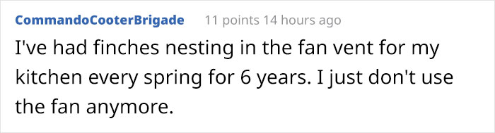 People Kept Destroying These Swifts' Nests So Someone Put Up A Sign Explaining Why We Need To Protect Them People Kept Destroying These Swifts' Nests So Someone Put Up A Sign Explaining Why We Need To Protect Them