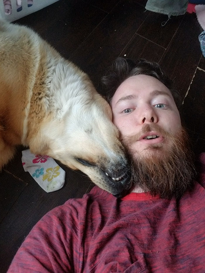 Bear Gifts Deer Bones To Guard Dog In Exchange Of Being Allowed Access To This Man's Trash