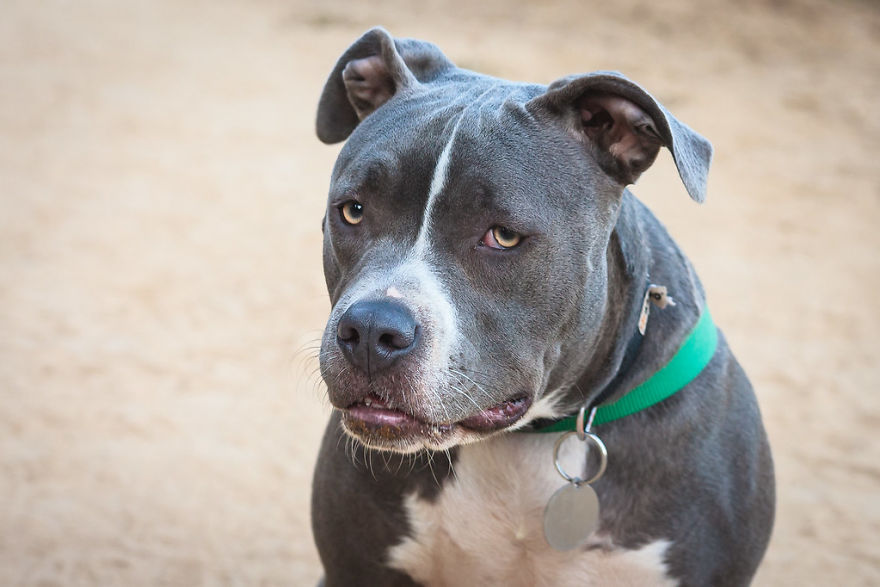 In Germany, The Fine For Killing A Protected Animal Can Vary Up To 25,000 Euros