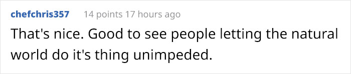 People Kept Destroying These Swifts' Nests So Someone Put Up A Sign Explaining Why We Need To Protect Them