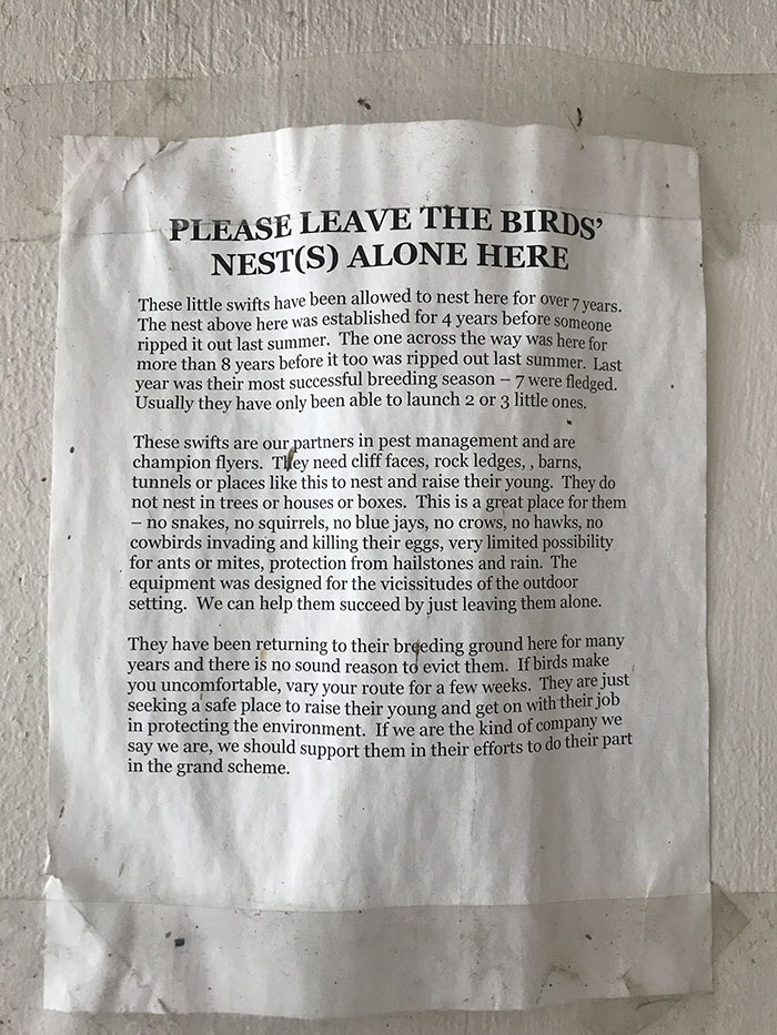 People Kept Destroying These Swifts' Nests So Someone Put Up A Sign Explaining Why We Need To Protect Them