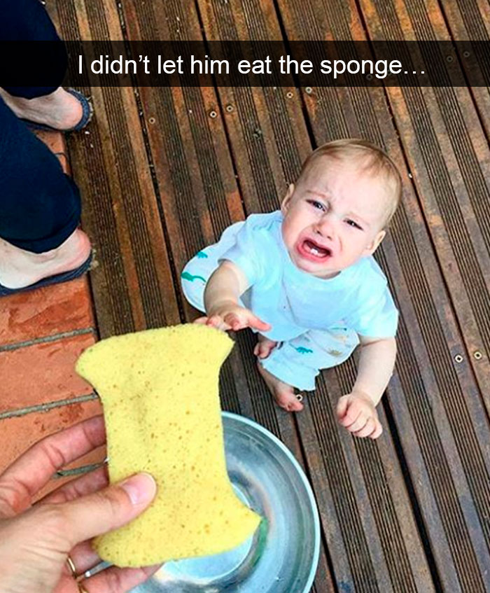 I Didn’t Let Him Eat The Sponge…