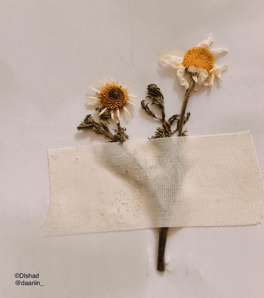 Photographer Captures Marvelous Moments By Mobilography