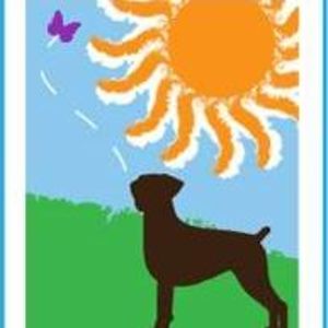 lotsadogsrescue1 avatar