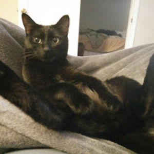 markanderson_1 avatar