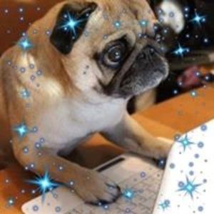 mireillepughamel avatar