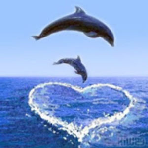 catharinaewing avatar