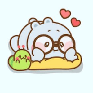 carolinawallace avatar