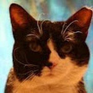 juliajasinski avatar