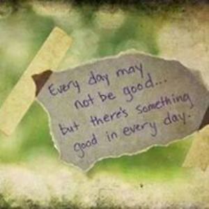 adirondackfivewalshs avatar