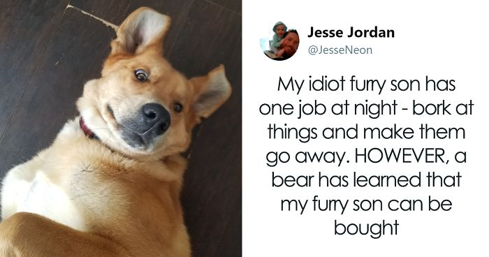 Bear Gifts Deer Bones To Guard Dog In Exchange Of Being Allowed Access To This Man’s Trash