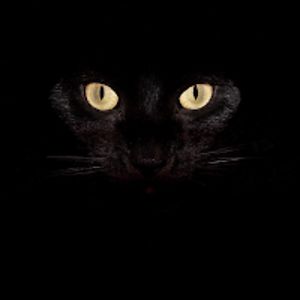 hopeaironwood avatar